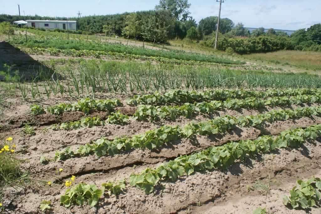 Дома для отпуска Agrodomki Okej -Dom Koko Gardna Wielka